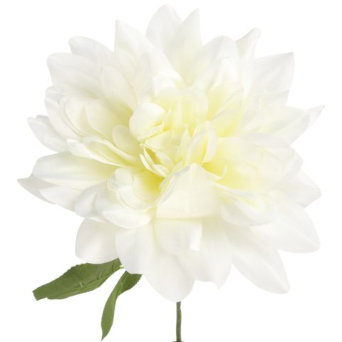 DALIA kremowa 60 cm fi 17