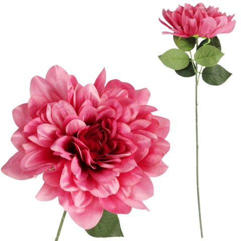 DALIA różowa 60 cm fi 17