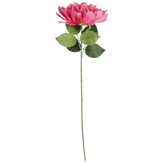 DALIA różowa 60 cm fi 17