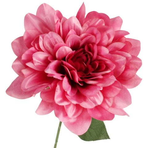 DALIA różowa 60 cm fi 17