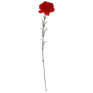 Goździk pojedynka w kolorze czerwonym 54 cm