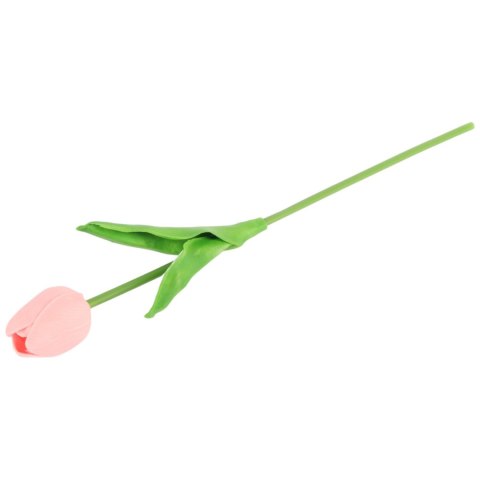 TULIPAN POJEDYNKA KOLOR CZERWONO-BIAŁY