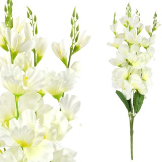 BUKIET 5 GAŁĄZEK MIECZYKÓW biały GLADIOLA 67 cm