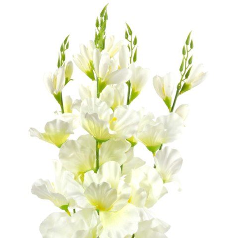 BUKIET 5 GAŁĄZEK MIECZYKÓW biały GLADIOLA 67 cm