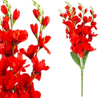 BUKIET 5 GAŁĄZEK MIECZYKÓW czerwona GLADIOLA 67 cm