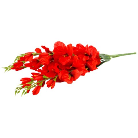 BUKIET 5 GAŁĄZEK MIECZYKÓW czerwona GLADIOLA 67 cm