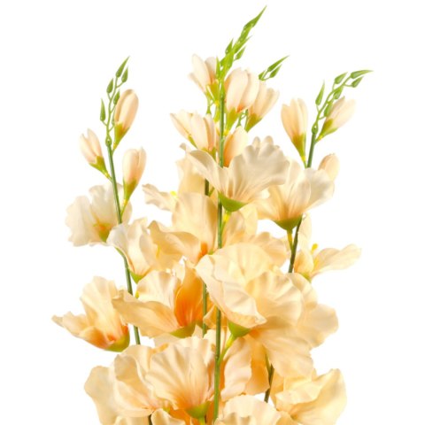 BUKIET 5 GAŁĄZEK MIECZYKÓW czerwona GLADIOLA 67 cm