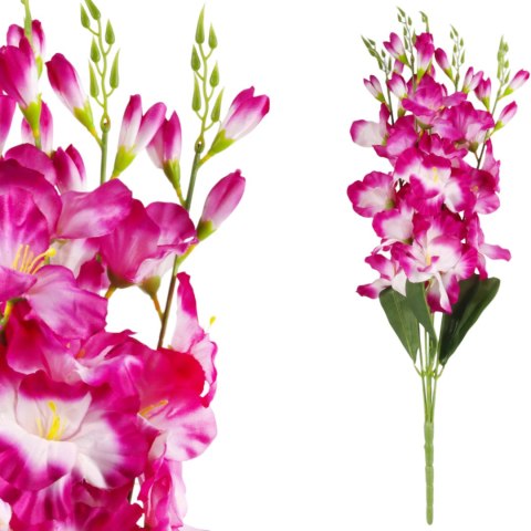 BUKIET 5 GAŁĄZEK MIECZYKÓW fioletowy GLADIOLA 67 cm