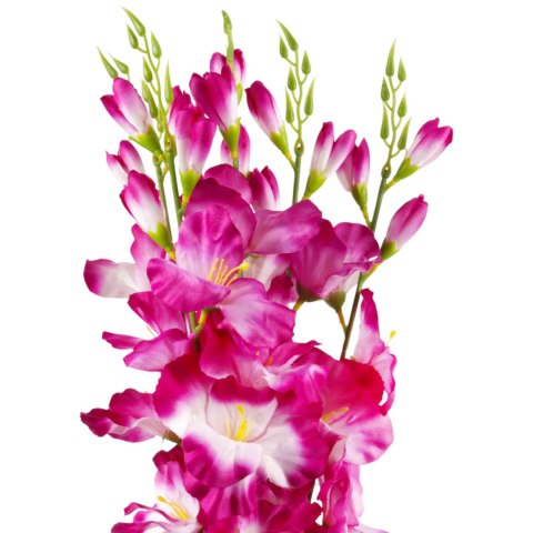BUKIET 5 GAŁĄZEK MIECZYKÓW fioletowy GLADIOLA 67 cm