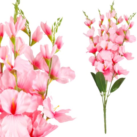 BUKIET 5 GAŁĄZEK MIECZYKÓW jasno-różowa GLADIOLA 67 cm