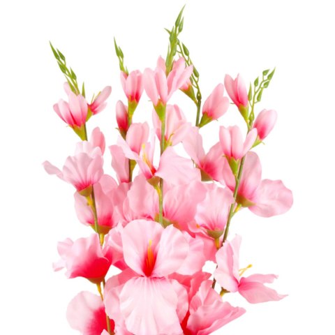 BUKIET 5 GAŁĄZEK MIECZYKÓW jasno-różowa GLADIOLA 67 cm