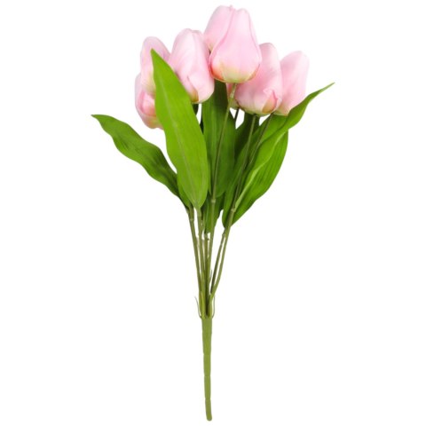 BUKIET 9 TULIPANÓW 44 CM KOLOR JASNO-RÓŻOWY