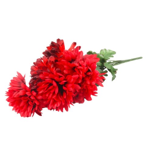 Bukiet 9 chryzantem w kolorze bordowym 36 cm