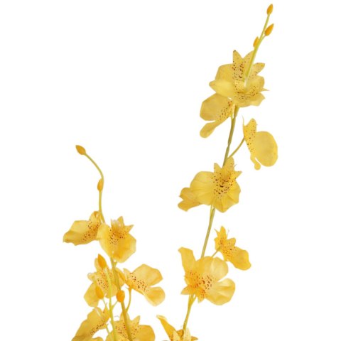 GAŁĄZKA STORCZYKA ONCIDIUM 95 CM