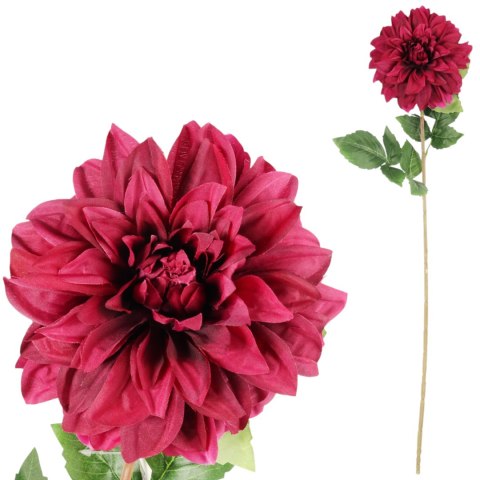 Dalia DUŻY kwiat pojedynczy CIEMNY FIOLET 74 cm