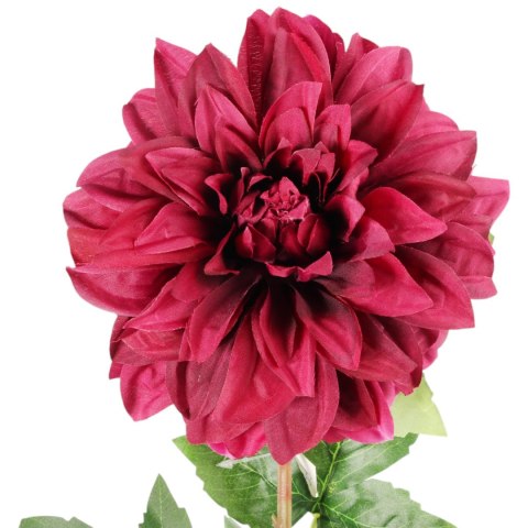 Dalia DUŻY kwiat pojedynczy CIEMNY FIOLET 74 cm