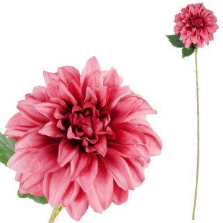 Dalia DUŻY kwiat pojedynczy JASNY FIOLET 74 cm