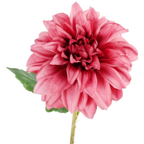 Dalia DUŻY kwiat pojedynczy JASNY FIOLET 74 cm