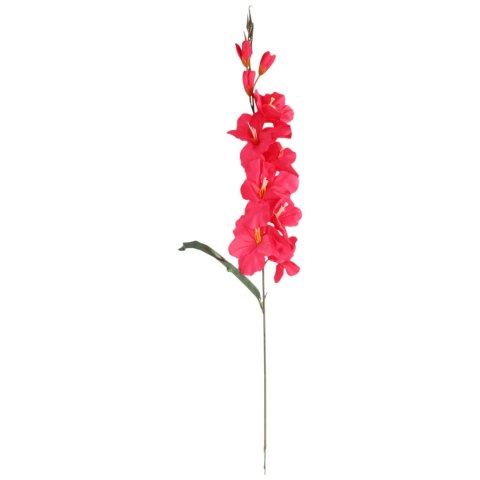 MIECZYK CIEMNO-RÓŻOWY GLADIOLA 76 CM